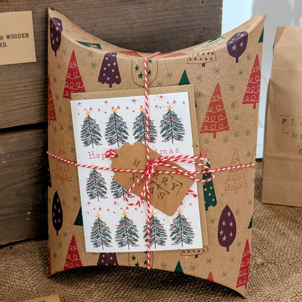 Allotment/Gardener Gift Set: Seeds, Twine, Plant Labels and Plantable