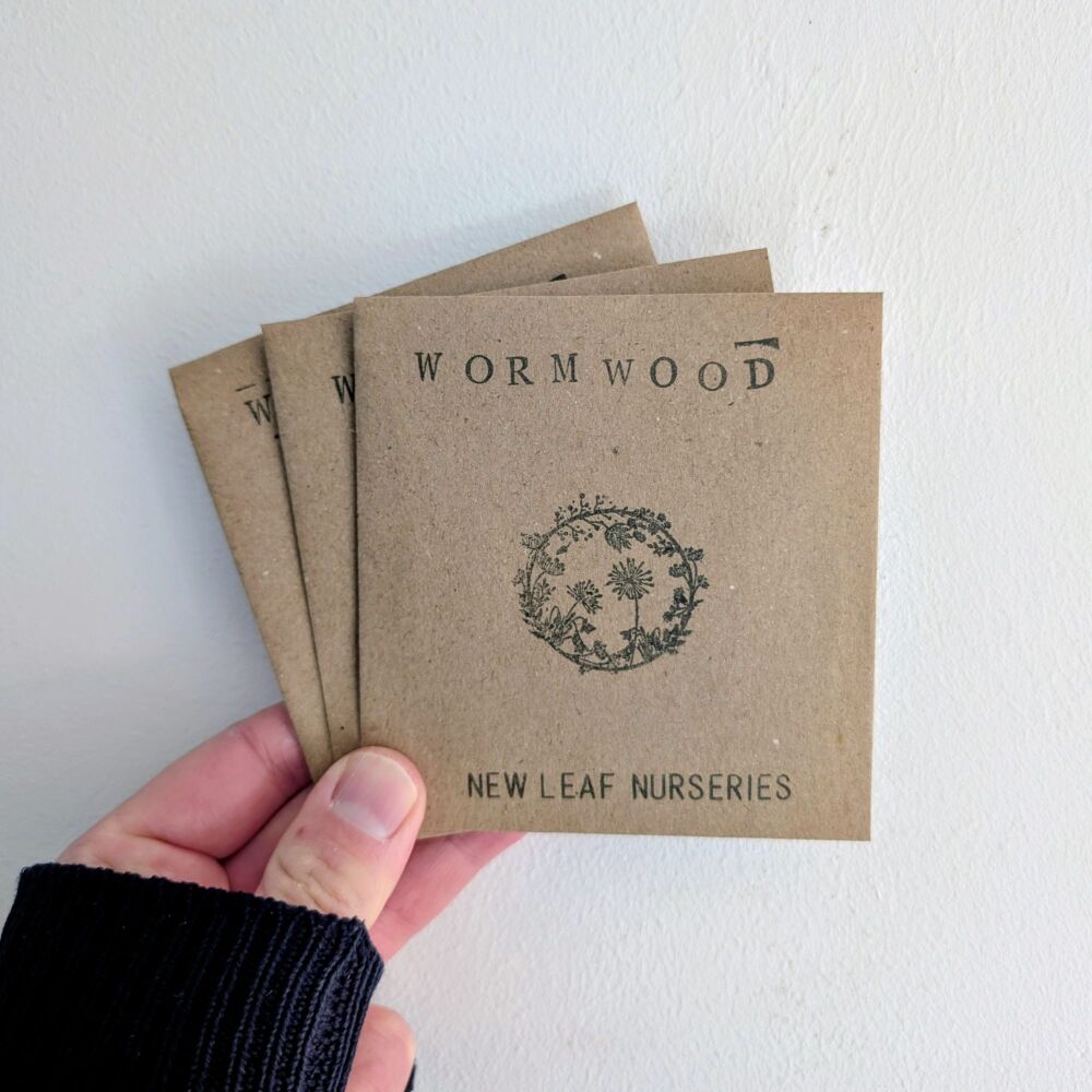 Wormwood Seeds *New For 2026*