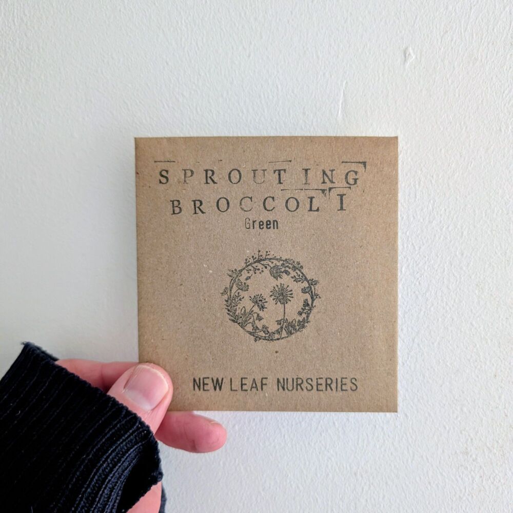 Broccoli 'Green Sprouting' Seeds *New for 2026*