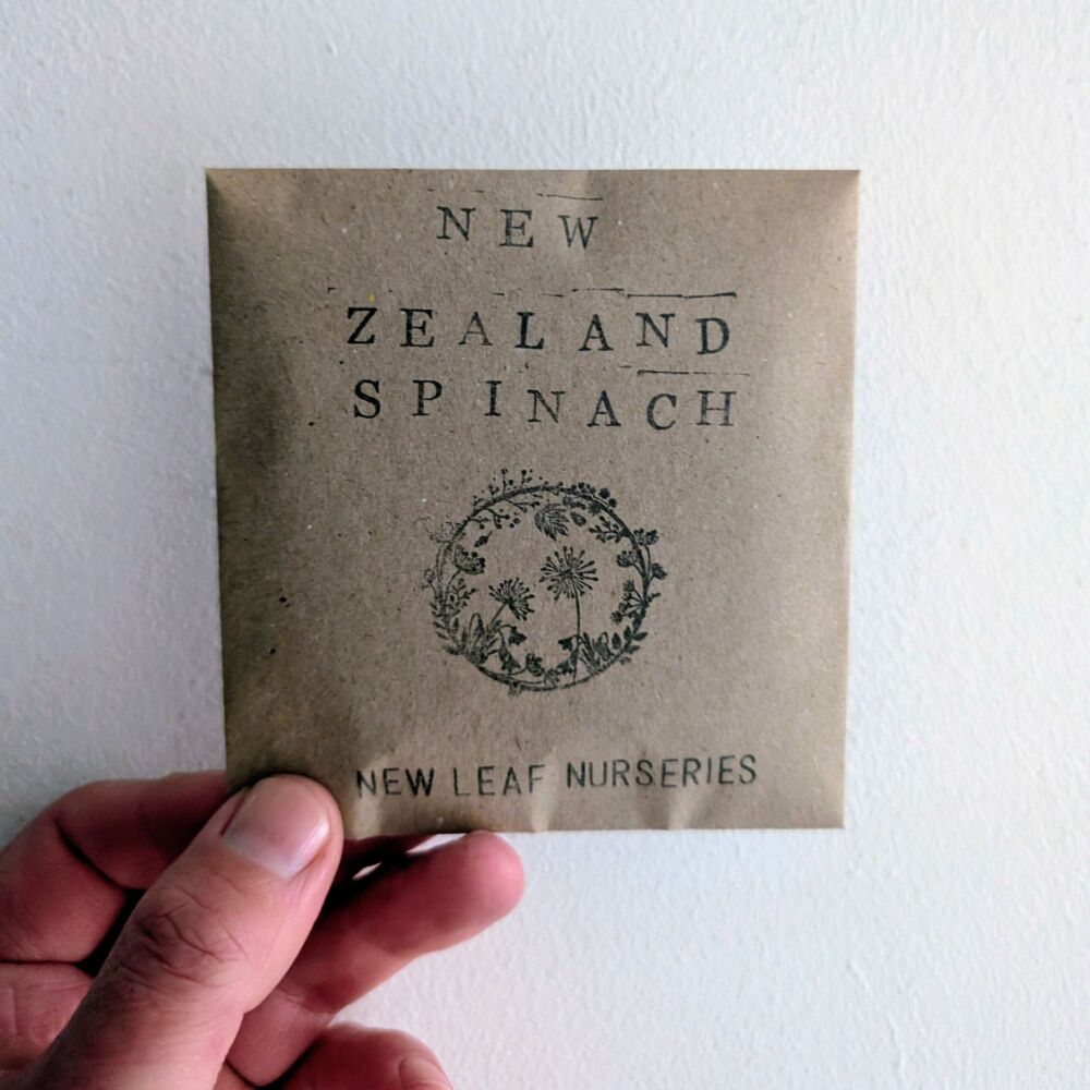 New Zealand Spinach Seeds *New for 2026*