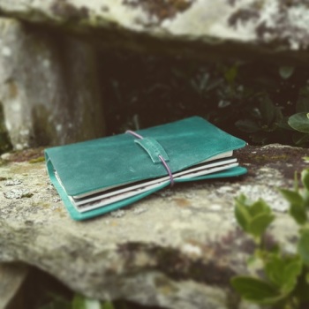 Grace & Salt ink inkDori Traveler's Notebook | bullet journaling 