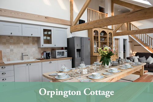 Orpington kitchen