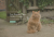 Banner-home-cat-2-NEW