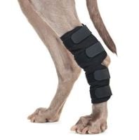11. Back on Track® Canine Hock/Ankle Wraps 