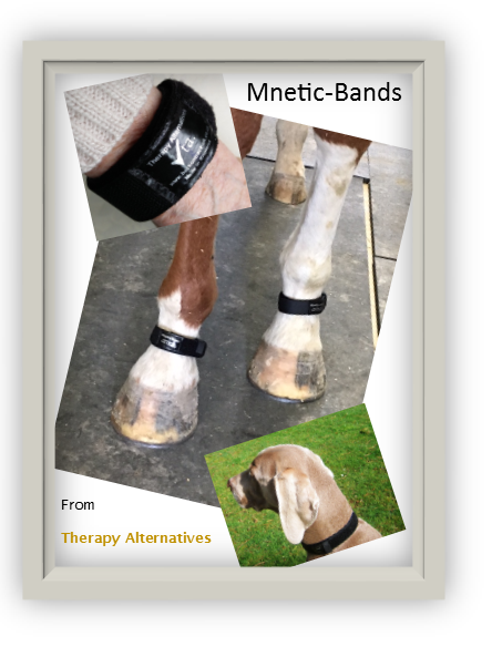 Mnetic-Band magnetised bands