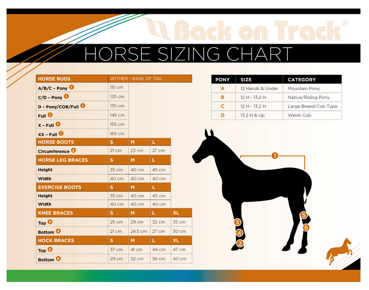 Back On Track Size Chart
