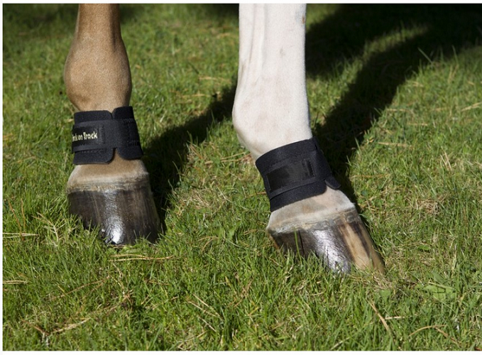Back On Track® Equine Pastern Wraps