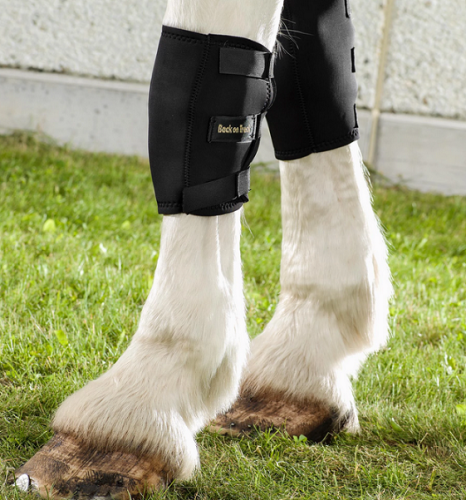 back on track polo wraps