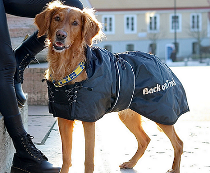 07. Back on Track® Canine Coat, Standard