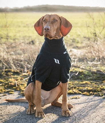 Back on Track® Canine All-weather Jumper, Cassie