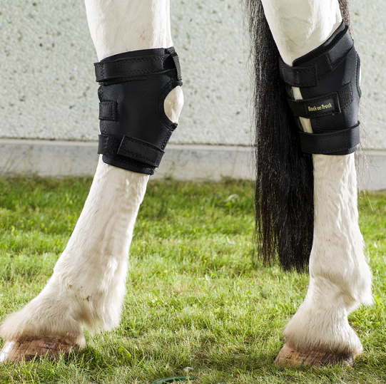 04. Back on Track® Equine Hock Boots, With Hole