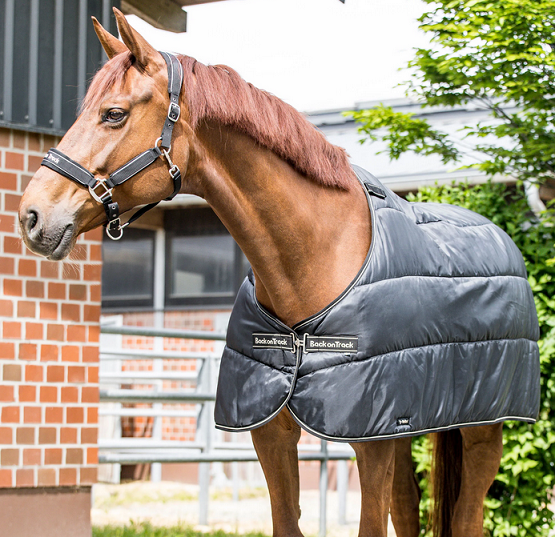 Back on Track® Equine Liner Rug, Rhyolite