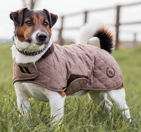 17. Back on Track® Canine ‘Haze Collection’ Coat