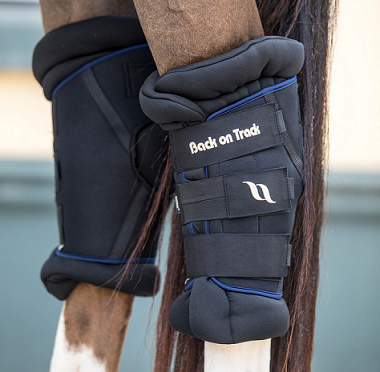 04. Back on Track® Equine Hock Boots, Royal Deluxe