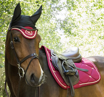 12. Back on Track® Equine ‘Nights' Collection Saddle Pad, Dressage