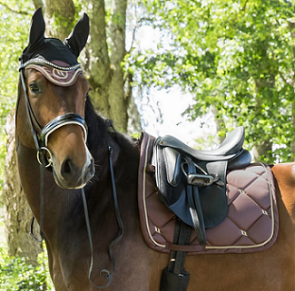 12. Back on Track® Equine ‘Nights' Collection Saddle Pad, Dressage