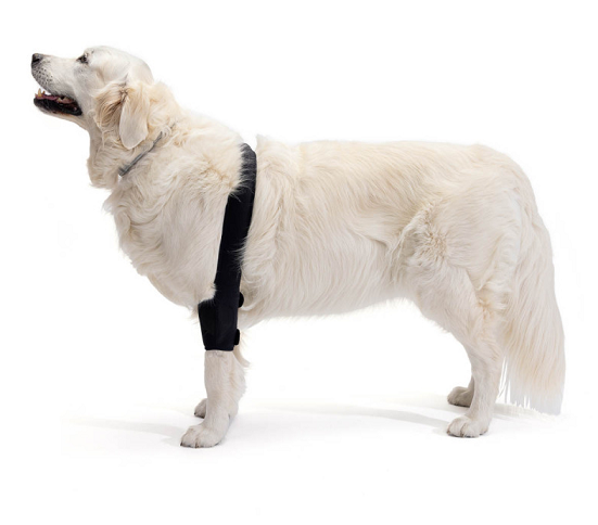 Ortocanis Canine Elbow Brace
