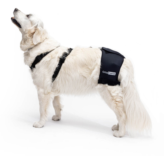 Ortocanis Canine Hip & Back Brace