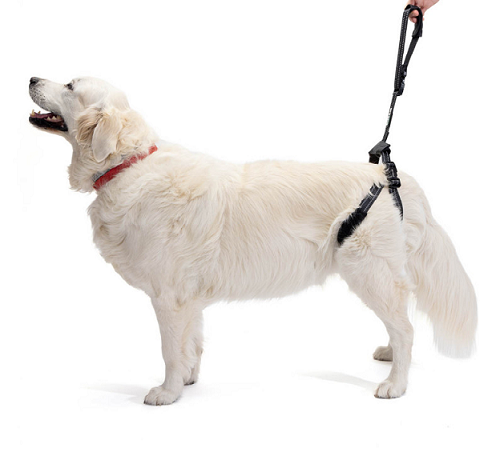 Ortocanis Canine Rear Support Harness