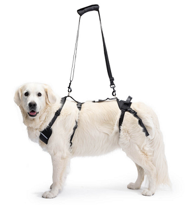 Ortocanis Full Support Harness
