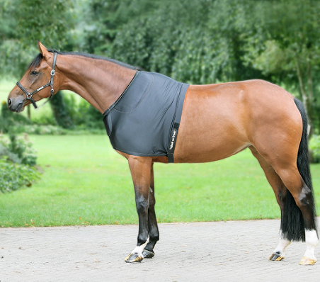 Cavezza Per Cavallo Back On Track - Collezione Haze, Colore Grigio - Protezione E Comfort