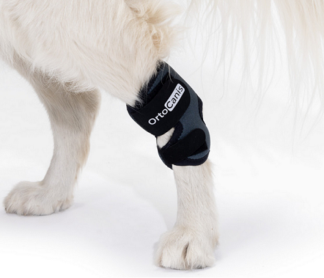 Ortocanis Canine Hock Support Wrap