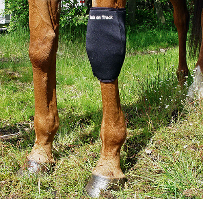 25. Back on Track® Equine Knee Boots