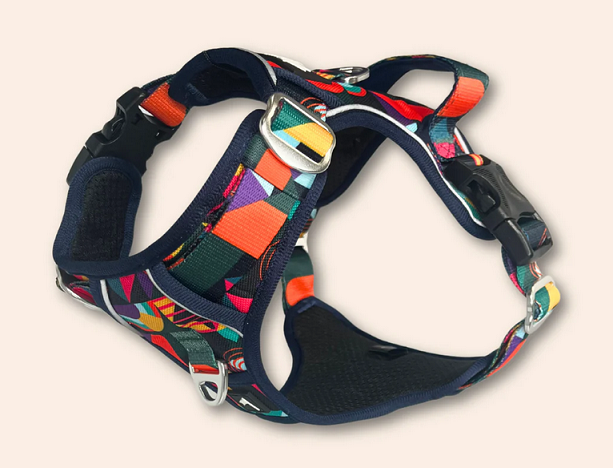 Adventure Harness - Aurora