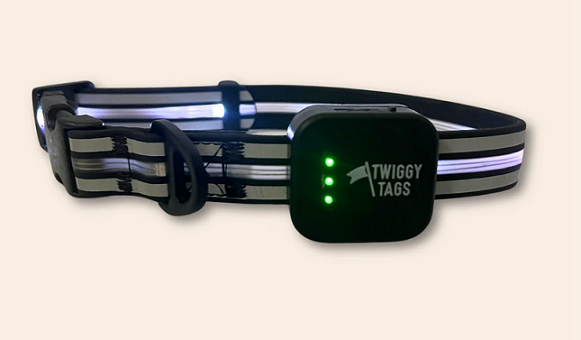 Twiggy Tags TrekBright™ Light-Up Collar