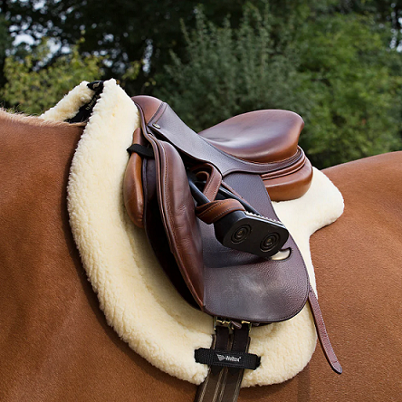 Back on Track® Equine Teddy Saddle Pad