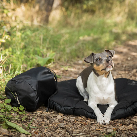 Back on Track® Canine Travel Mattress