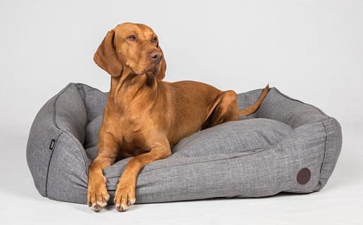 Back on Track® Canine Dog/Pet Bed, Rocky