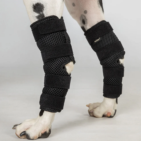 12. Back on Track® Canine Hock/Ankle Wraps, Dixie