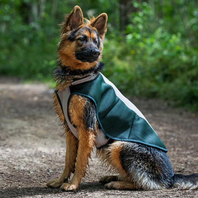 Dog Cooling Coats