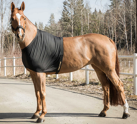 Back on Track® Equine Shoulder Guard, Light