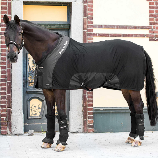 01. Back on Track® Horse Mesh Rug, Royal Deluxe