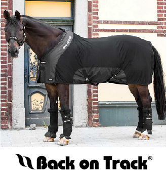 Back on Track® Horse Products