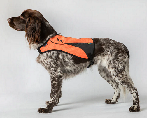Back on Track® Point High Visibility Dog Vest