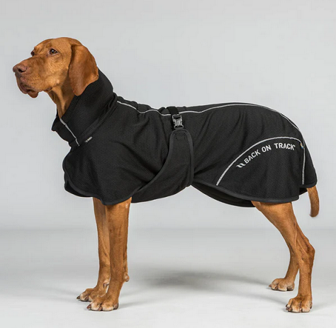 02: Back on Track® Mesh Dog Coat, BAY
