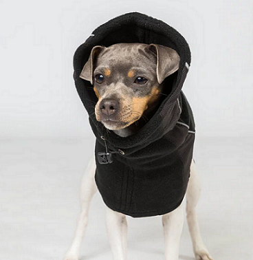 29: Back on Track® Canine Neck Warmer, Benji