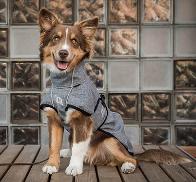 Back on Track® Canine All-Weather Coat, Nella, Grey