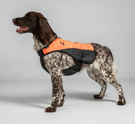 13: Back on Track&reg; Trakk High Visibility Dog Chest Guard