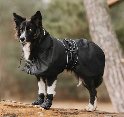 Back on Track&reg; Dog, Rain Coat