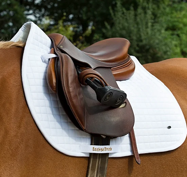 Back on Track&reg; Equine Dressage Saddle Pad, No.2 Cob