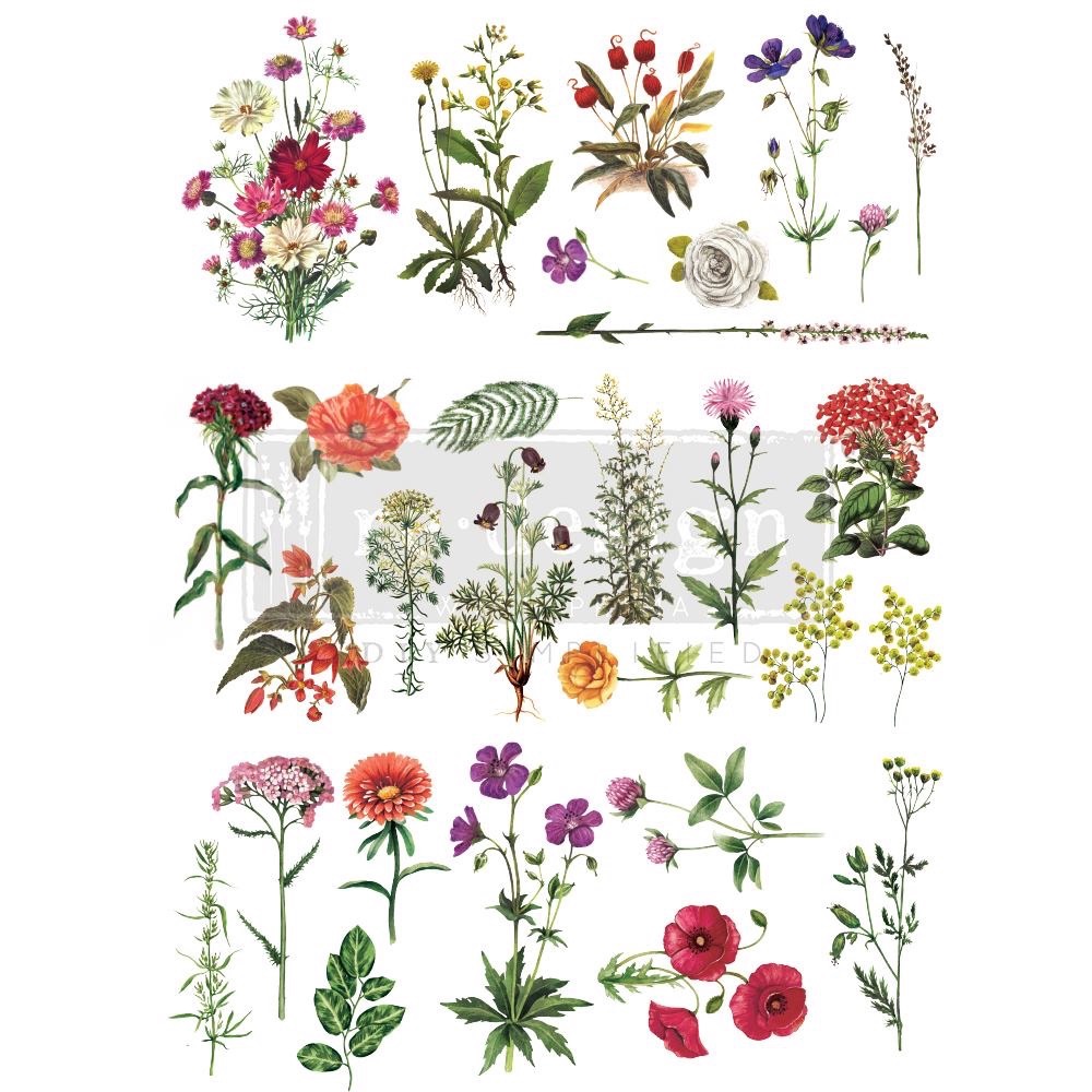 Decor Transfer - Floral Collection