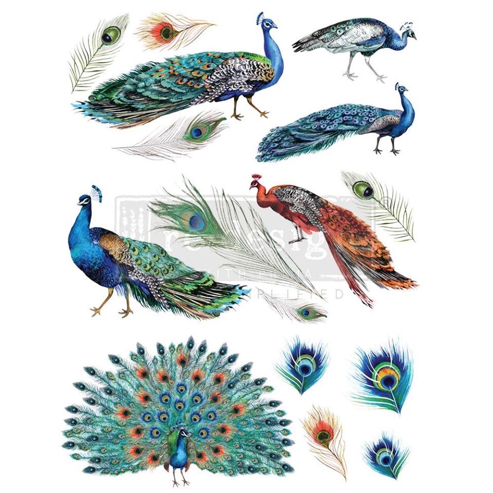 Decor Transfer - Peacock Dreams
