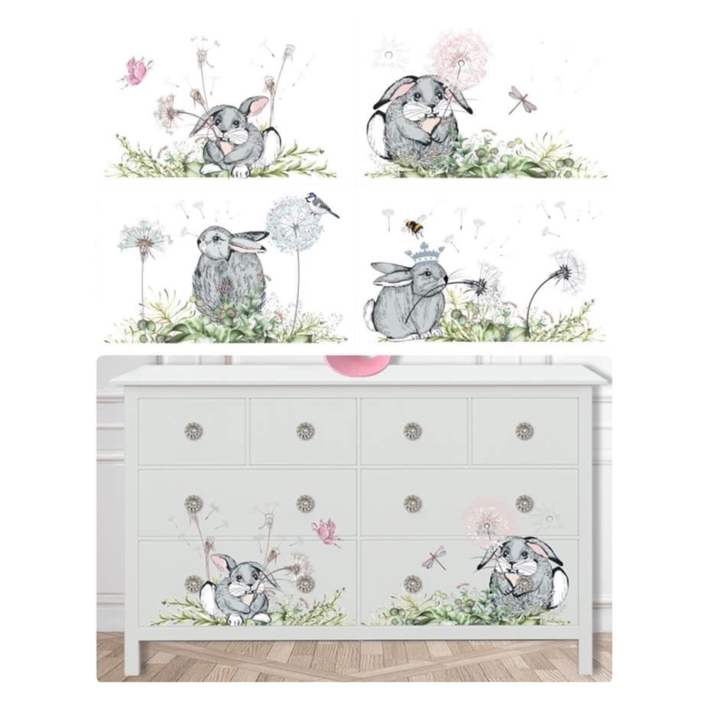 Decor Transfer - Mes Lapines