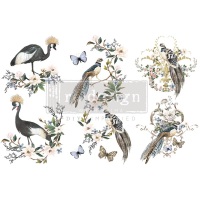 Decor Transfer - Rare Birds (Small)
