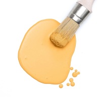 Mod Mustard