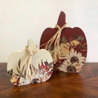 Autumnal Decorated Pumpkins